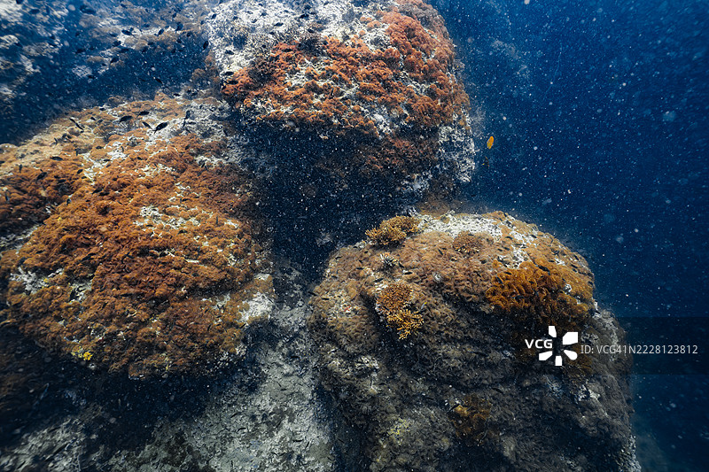 大型珊瑚覆盖的岩石结构从海底升起，周围环绕着小鱼和清澈的蓝色水域，形成生机勃勃的海洋栖息地。图片素材