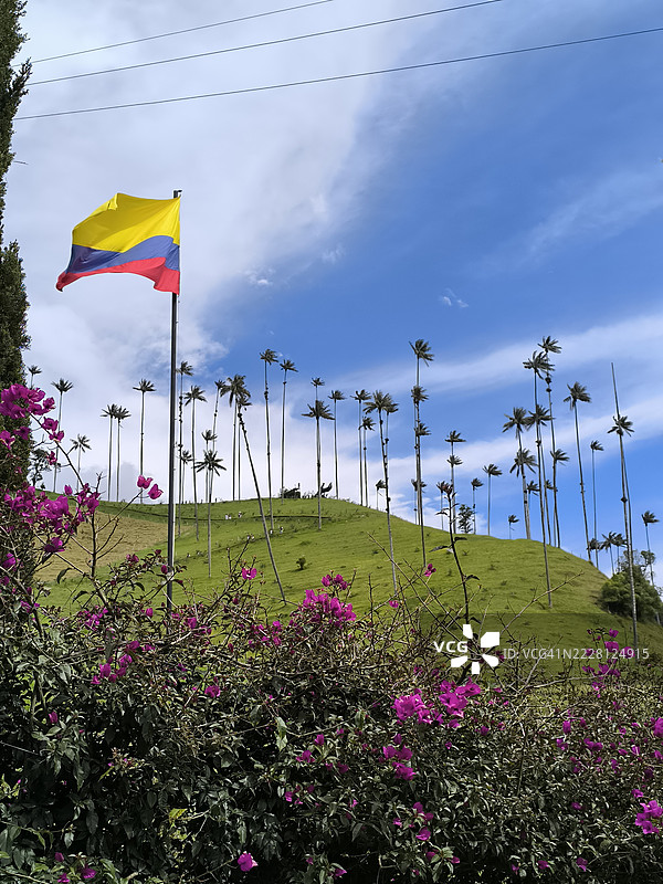 科科拉谷，哥伦比亚图片素材