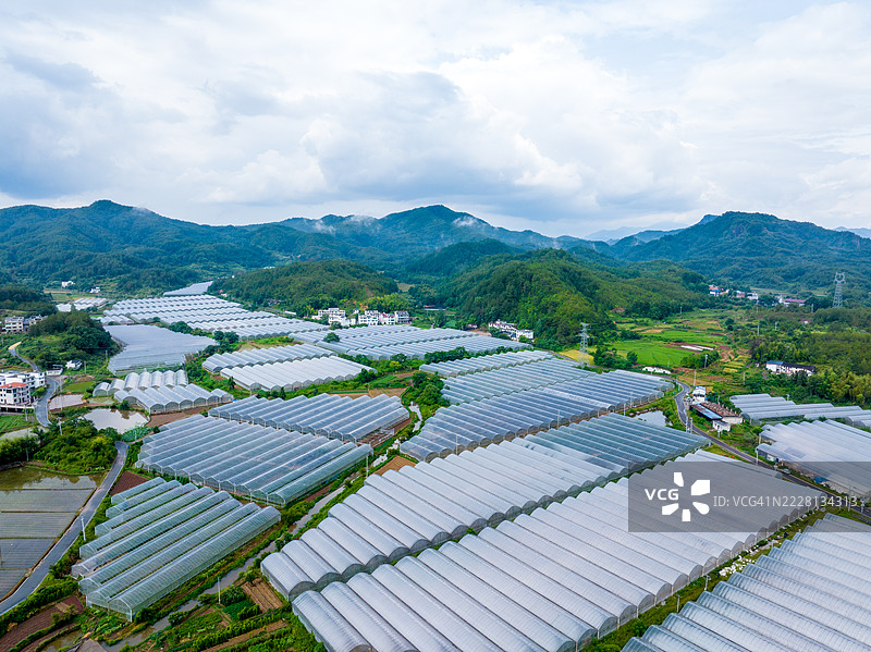 现代农业温室种植园图片素材