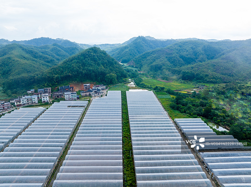 现代农业温室种植园图片素材