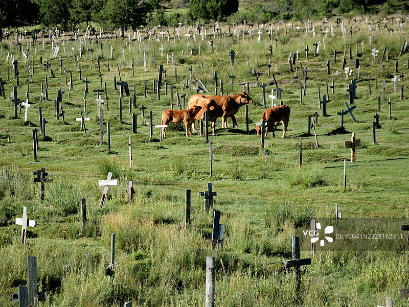 悲伤山墓地图片素材