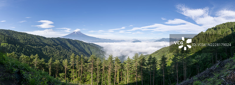 夏日清晨的云海与富士山（全景视图）图片素材