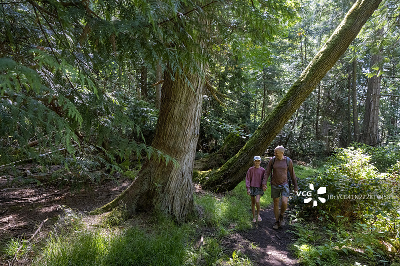 父亲和女儿在海湾群岛的森林小径上散步图片素材