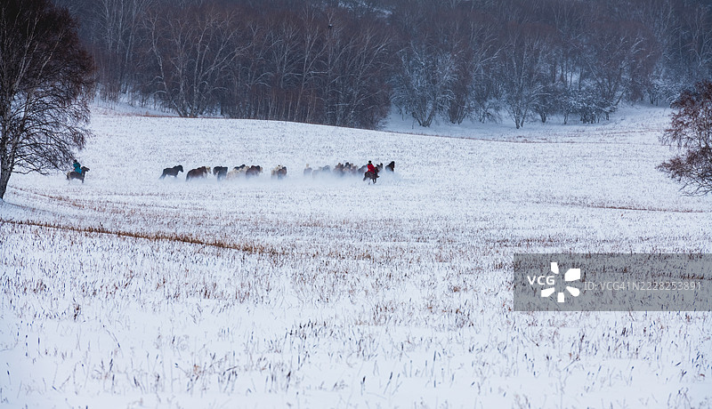 一群人在雪覆盖的开阔地带骑马。图片素材