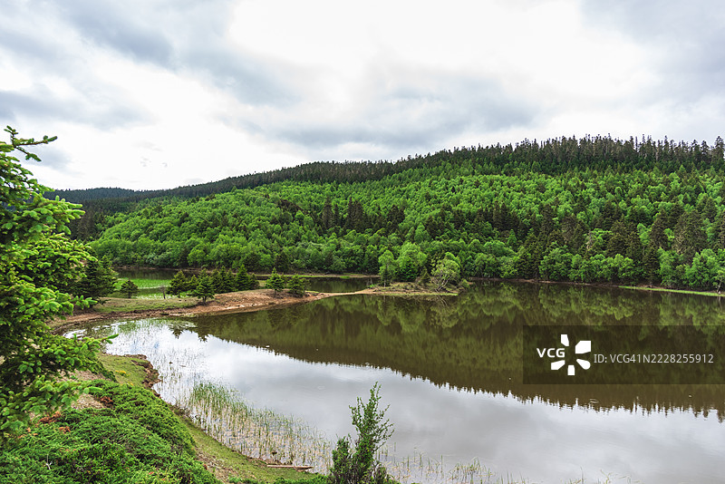 宁静湖泊的美丽景色，四周环绕着郁郁葱葱的森林图片素材