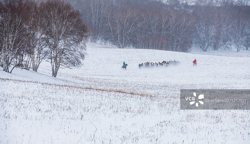 一群人在雪地上骑马穿行图片素材