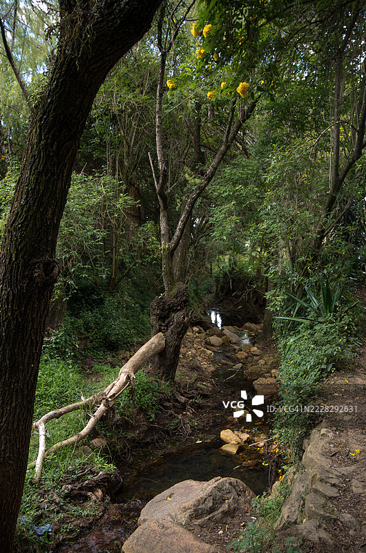 萨奇卡河，维拉德莱瓦，博亚卡，哥伦比亚图片素材