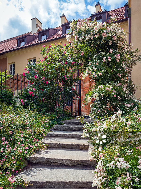 一个宁静的花园，石阶通向一座建筑。图片素材
