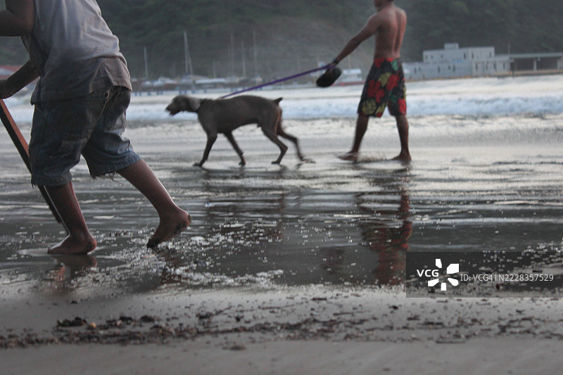 年轻男子与杜宾犬在海滩上图片素材