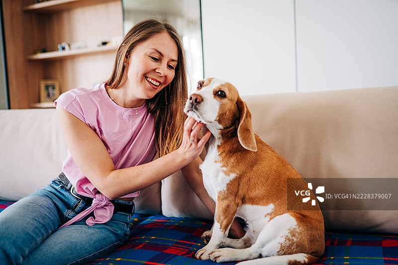 女人在温暖而充满爱的场景中拥抱一只比格犬图片素材