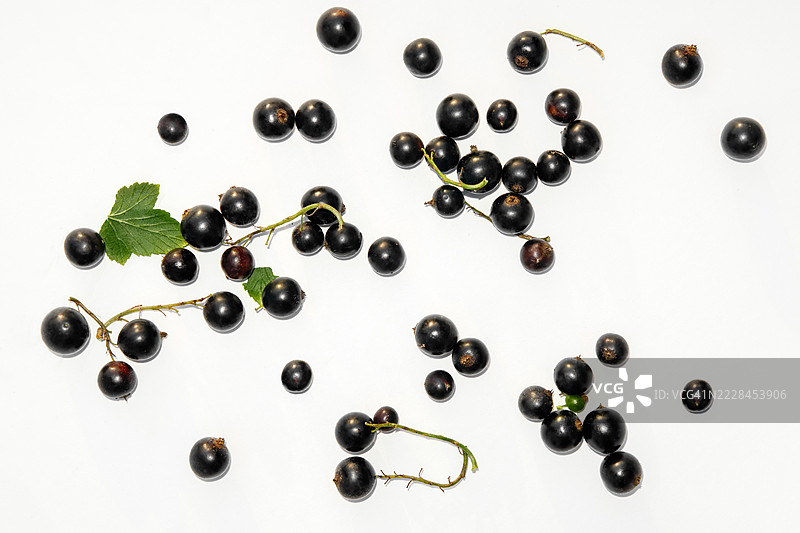 新鲜的黑加仑散落在白色背景上。图片素材
