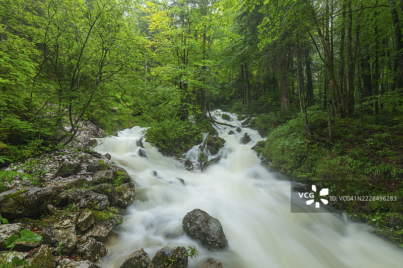 阿尔卑斯山附近因大雨而汹涌的魏斯巴赫河图片素材