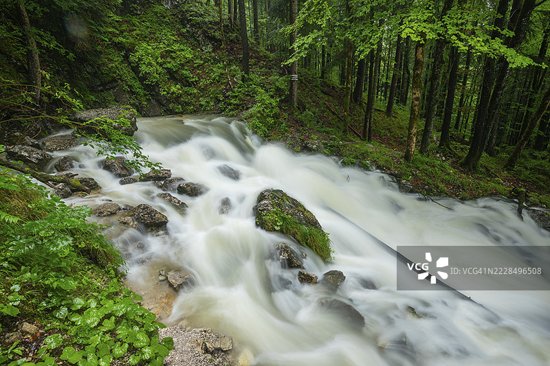 咆哮的韦斯巴赫河与水坑。阿尔卑斯山因策尔附近的韦斯巴赫泉在大雨后。图片素材