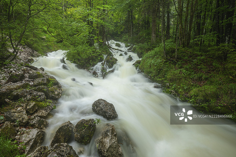 阿尔卑斯山附近因大雨而汹涌的魏斯巴赫河图片素材