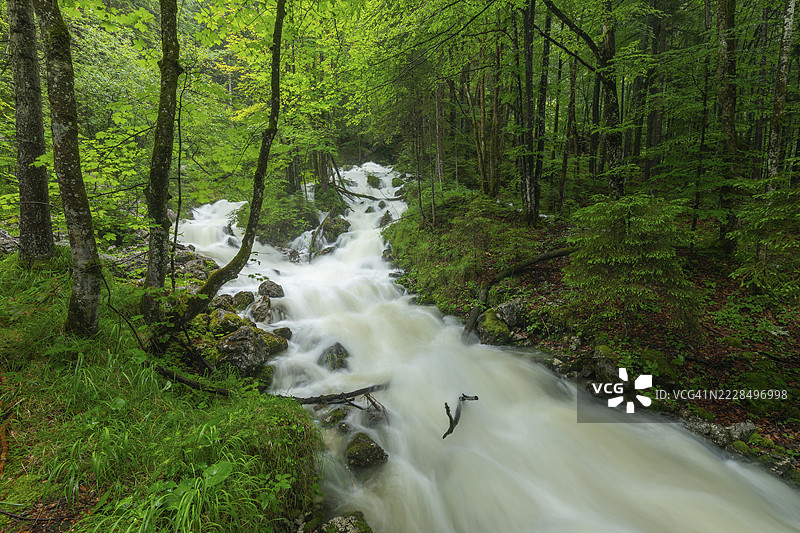 夏雨过后的魏斯巴赫河在因策尔附近咆哮图片素材
