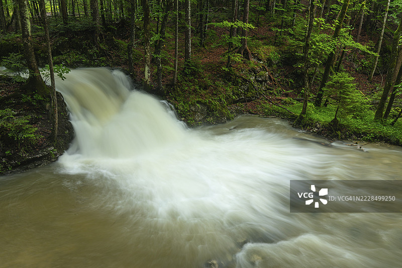 夏雨过后，因策尔附近的威斯巴赫河奔腾咆哮图片素材
