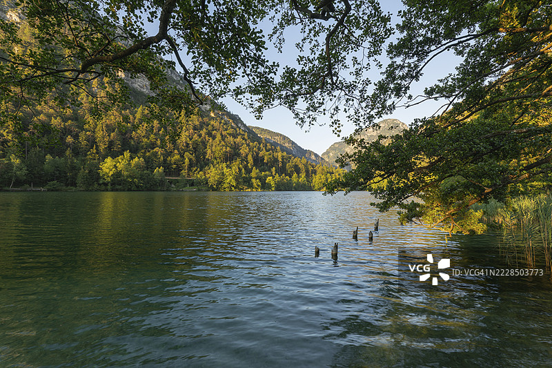 夏季在巴德赖兴哈尔附近的图姆湖日出图片素材