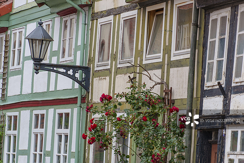 半木结构房屋，配有玫瑰和灯笼，浪漫的老城镇场景，希尔德斯海姆，下萨克森，德国图片素材