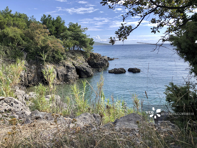 克尔克岛，克罗地亚的自然海岸风光，悬崖、树木和清澈的蓝色海水图片素材