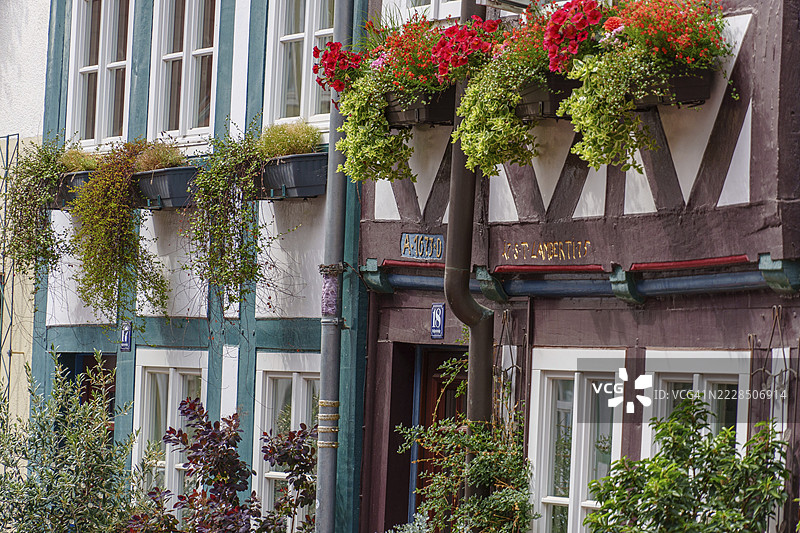 德国下萨克森州希尔德斯海姆，半木结构的外墙，种满鲜花的窗台和绿意盎然的前景图片素材