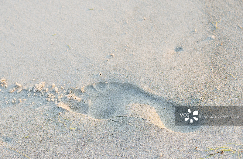 沙滩上的单个脚印，宁静的氛围，傍晚温暖的光线，人类的脚，沙滩上的痕迹，赤脚行走，印记，象征个人道路的意象，短暂性，留下痕迹，健康的脚，健康，纵向的图片素材