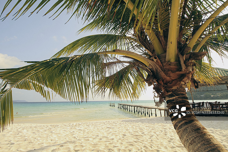 柬埔寨西哈努克市的考荣山洛姆，一个热带海滩，椰子树勾勒出白色沙滩和延伸至蓝色海洋的木栈道的美景。图片素材