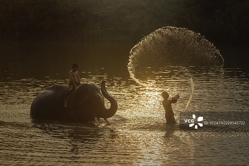 两个男孩在泰国素林的昌村日出时分与一头大象在河里玩耍图片素材