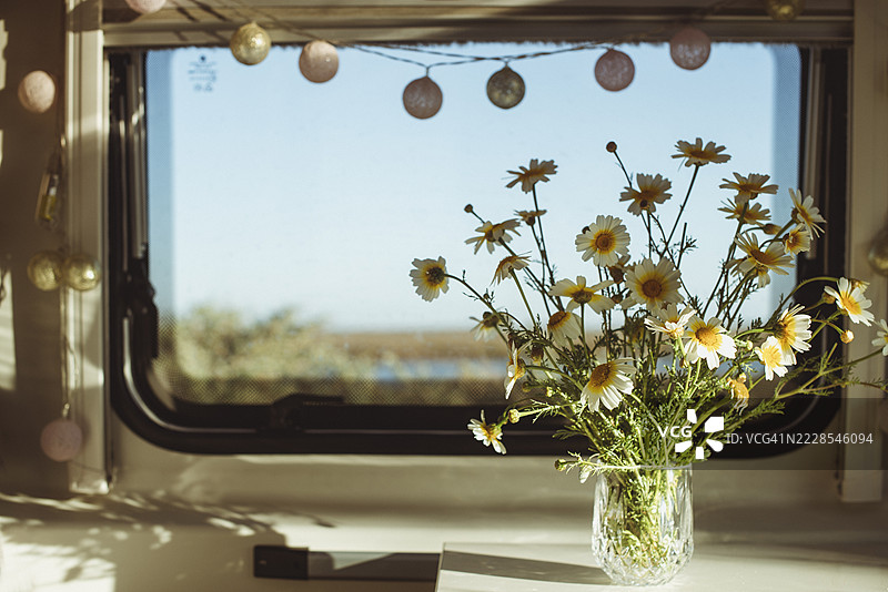 新鲜雏菊花束和串灯装饰在房车内图片素材