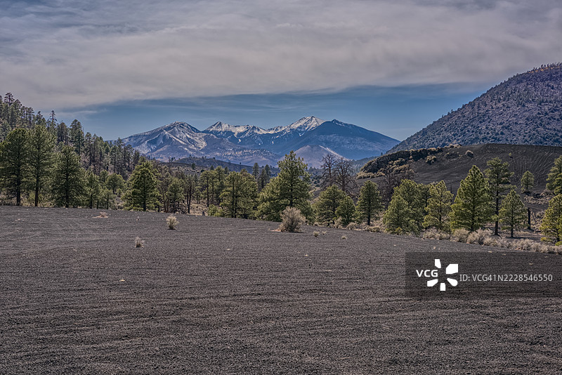 从火山灰丘观看的汉弗莱峰，位于亚利桑那州日落火山国家纪念碑附近的科科尼诺国家森林图片素材