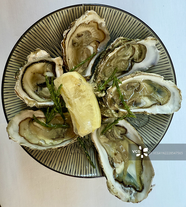 俯视一盘生蚝，其中一只比其他的更大，旁边有一片柠檬和海洋芥菜装饰。图片素材