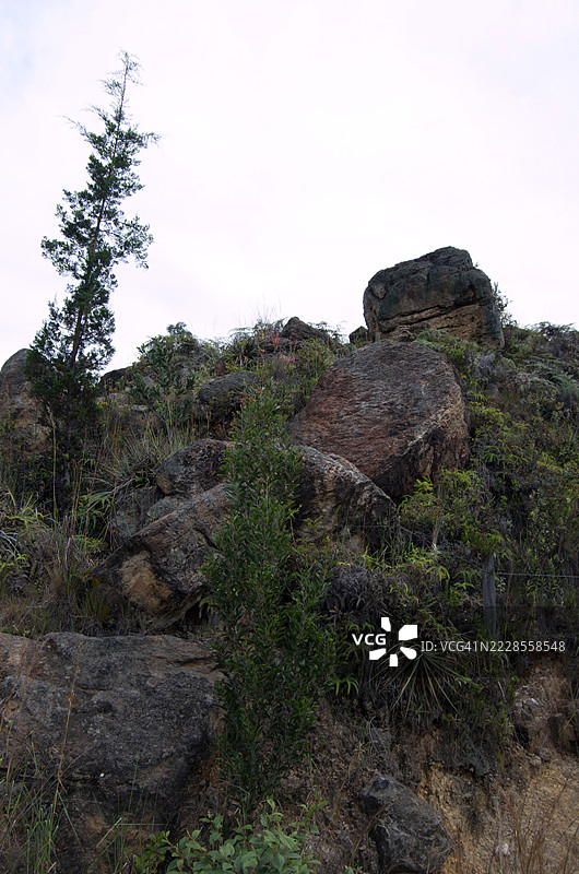 在哥伦比亚博亚卡省拉基拉的奇斯皮亚德罗瀑布徒步旅行小径上，维亚杜尔塞河上方的山坡风景图片素材
