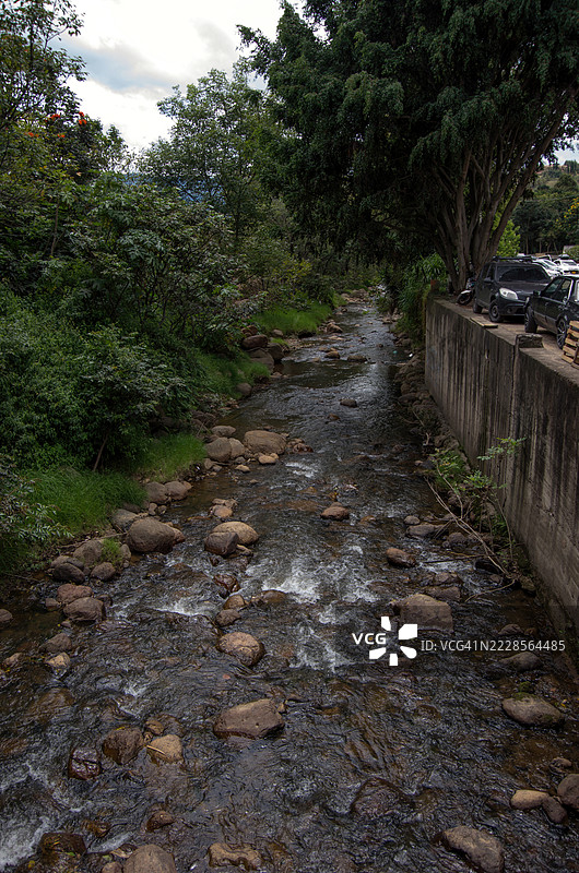 树木成行的河岸石头图片素材
