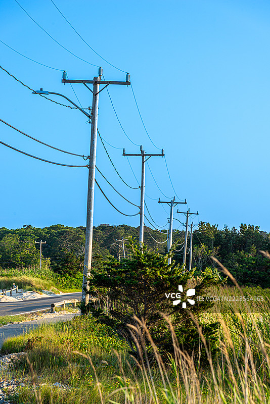 2025年夏季玛莎葡萄园图片素材