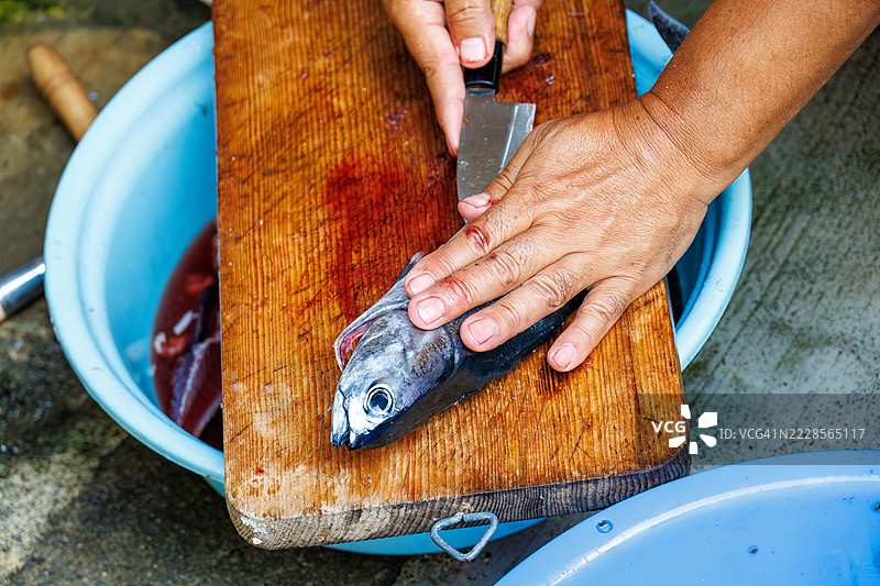 船长熟练地将鱼片切割。军舰鲭鱼，Auxis thazard，子弹金枪鱼，Auxis rochei rochei，军舰金枪鱼，Auxis thazard thazard。图片素材