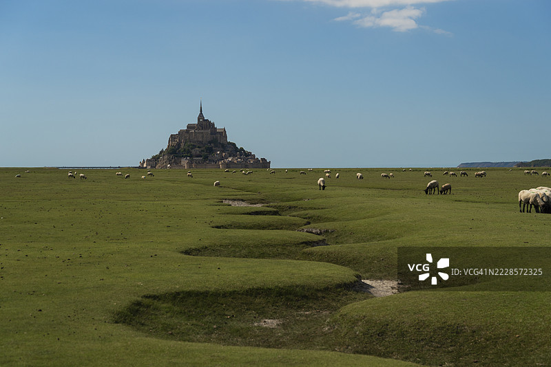 蒙圣米歇尔附近盐沼中的干涸曲折沟壑，草地上有羊群。图片素材