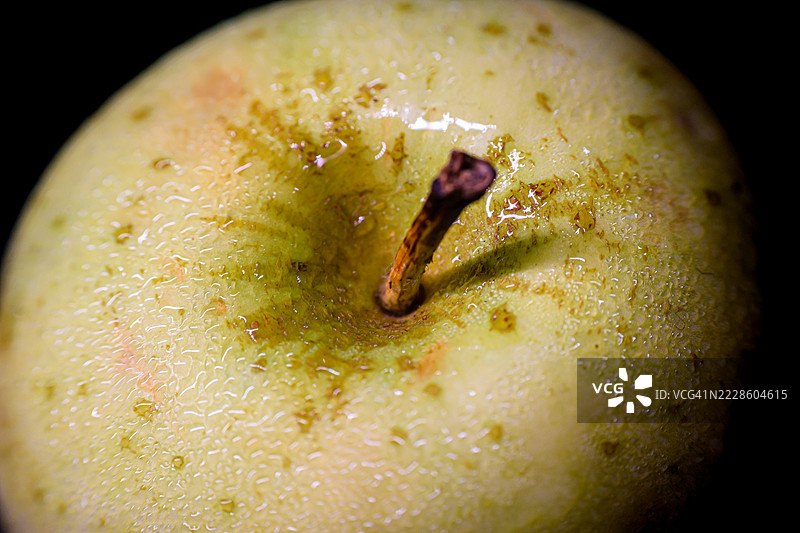 新鲜的绿色苹果上有水珠，背景为黑色图片素材