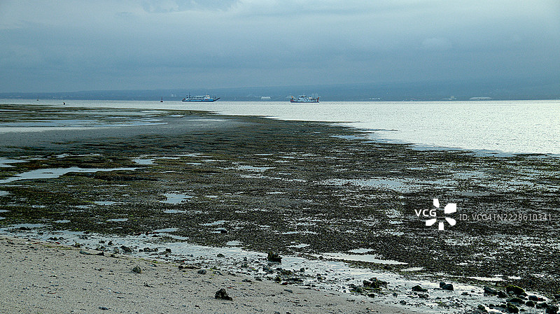巴厘海峡丰富的海藻自然潮间带图片素材