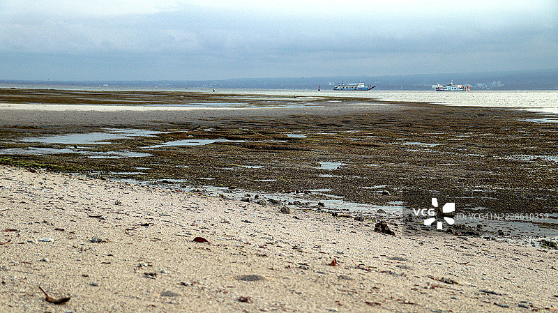 巴厘海峡丰富的海藻自然潮间带图片素材