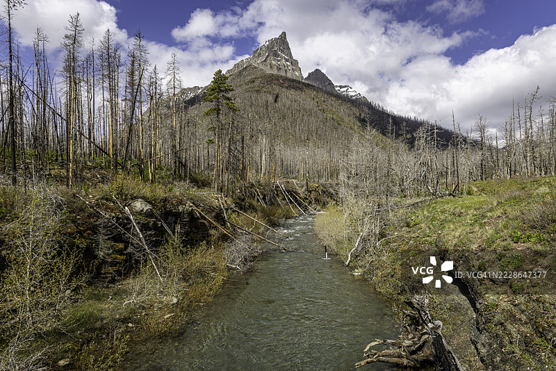 春季沃特顿国家公园布莱基斯顿小径的美丽景色图片素材