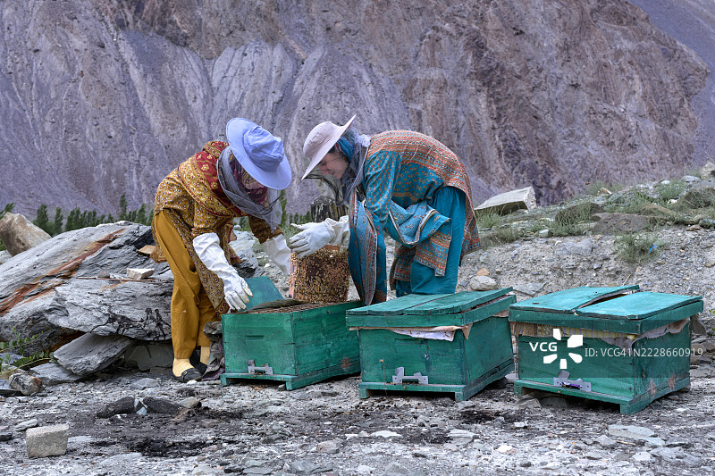 两名女性养蜂人在山区检查蜂箱图片素材