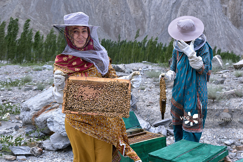 两位女性养蜂人在山区检查蜂箱，穿着防护装备图片素材