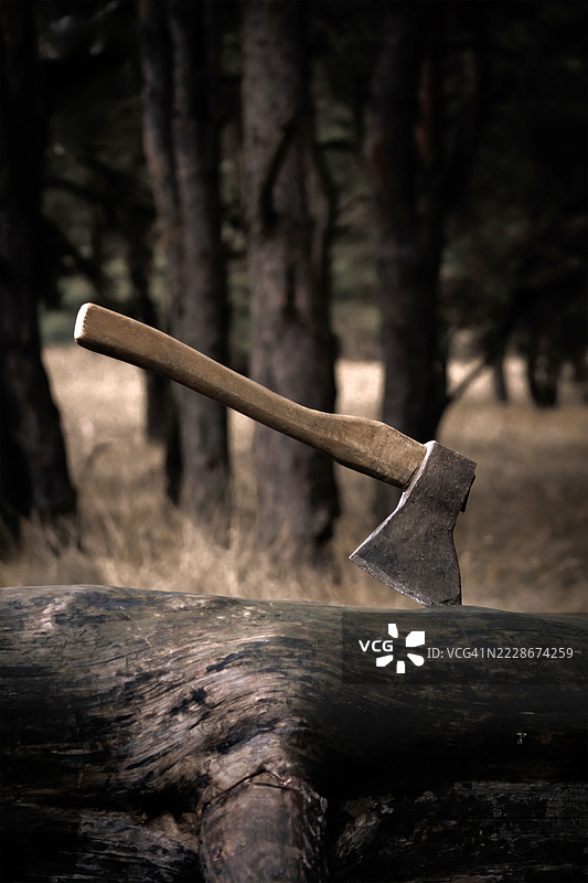 秋季森林黄昏时分，斧头插在木头上的特写镜头，乌克兰图片素材