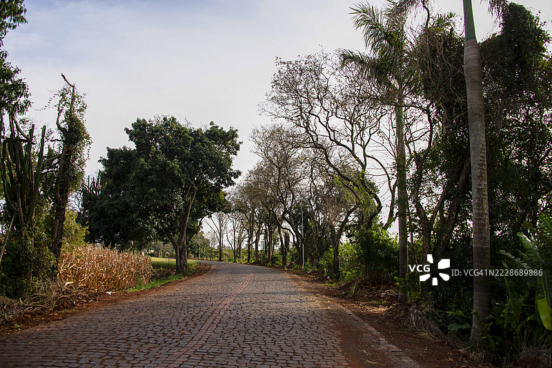 巴西帕拉纳州北部罗兰迪亚市的圣拉斐尔路。图片素材