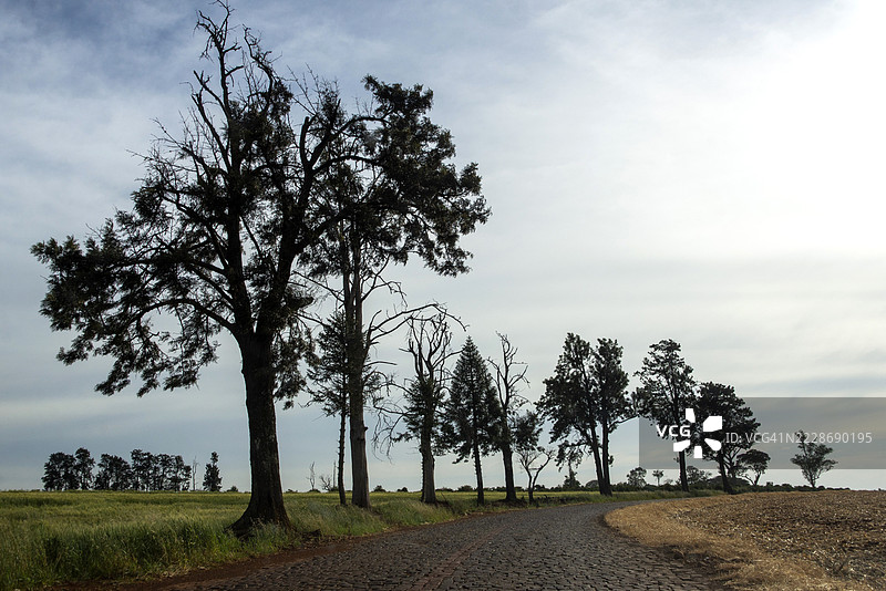 巴西帕拉纳州北部罗兰迪亚市的圣拉斐尔路。图片素材