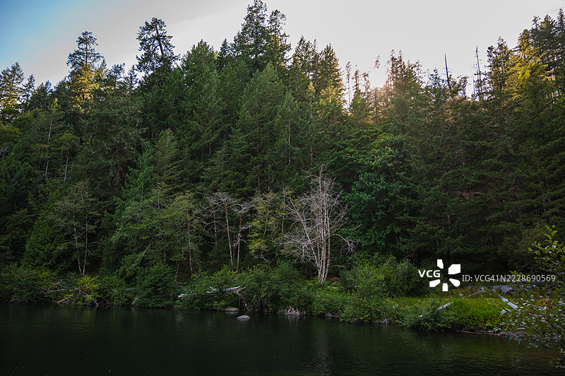 温哥华岛苏克水坑的自然风光图片素材
