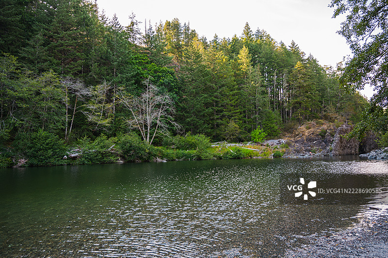 温哥华岛苏克水坑的自然风光图片素材