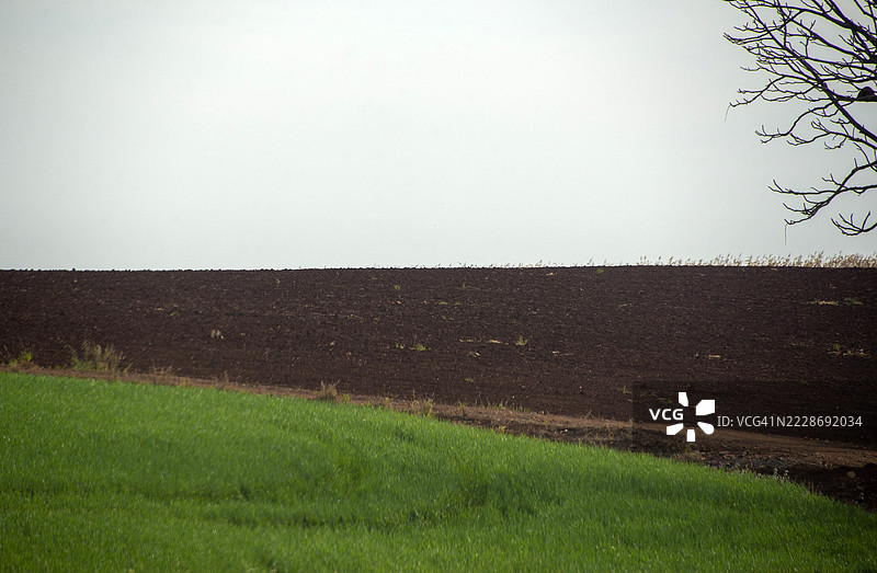 巴西帕拉纳州北部罗兰迪亚市的圣拉斐尔路。图片素材