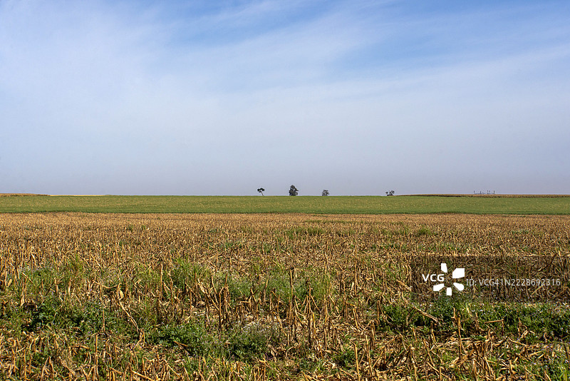 巴西帕拉纳州北部罗兰迪亚市的圣拉斐尔路。图片素材