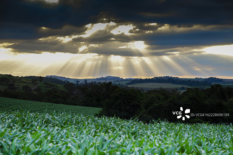 农场的日出与日落图片素材