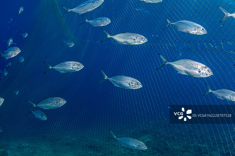 水下渔网图片素材